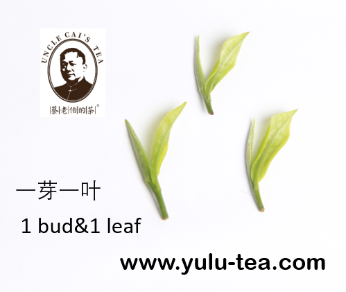 1 bud & 1 leaf&nbsp;&nbsp;- Uncle Cai